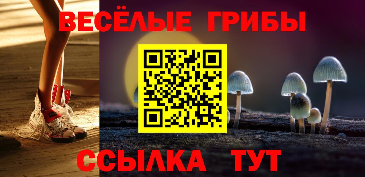 Галлюциногенные грибы мухоморы Менделеевск